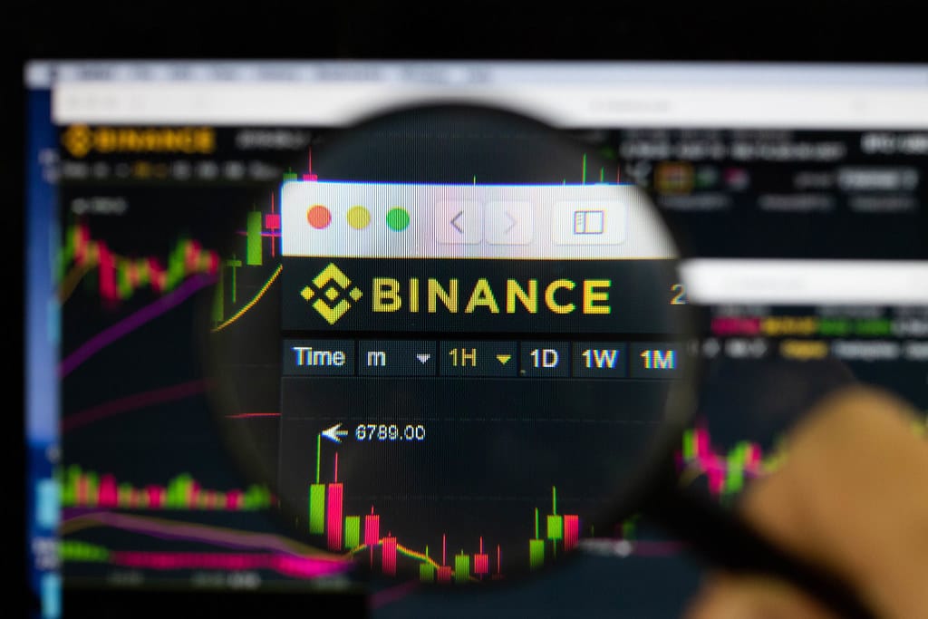 Binance-Logo am PC-Monitor, durch eine Lupe fotografiert