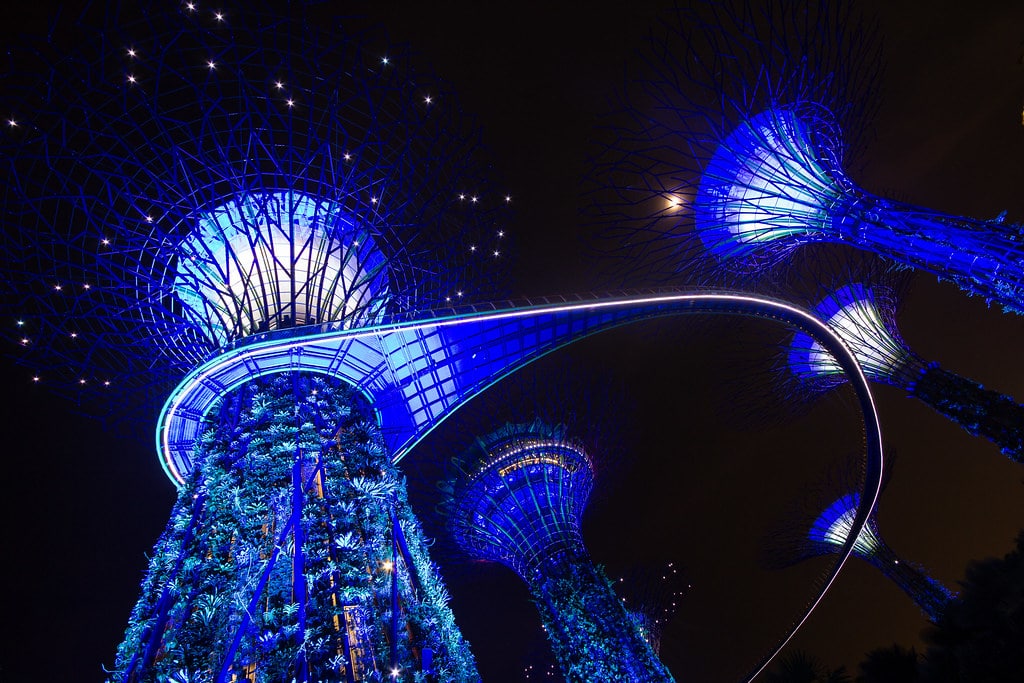 Garden By The Bay - Singapore 1, par Franck Vervial