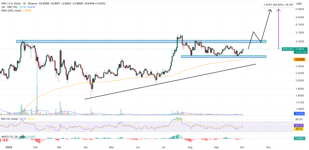 Ripple Van Winkle | Latest XRP Ripple News | Moment: A Brief Pause in Time