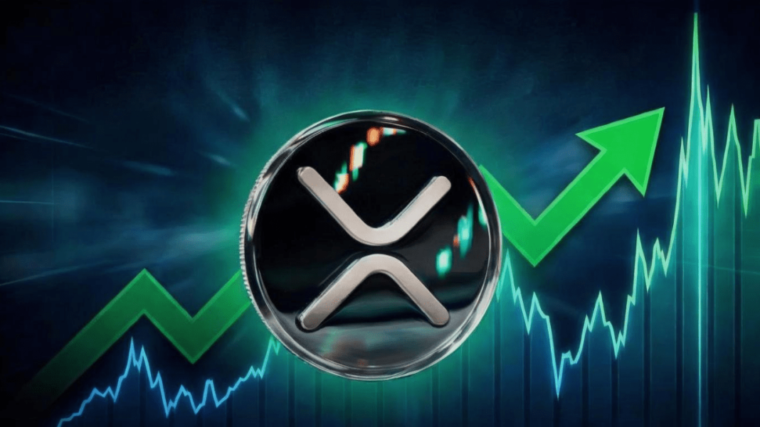 24 Hour Settlement - XRPRightNow.com