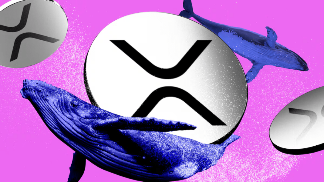 Ripple Reddit Discussion - XRPRightNow.com