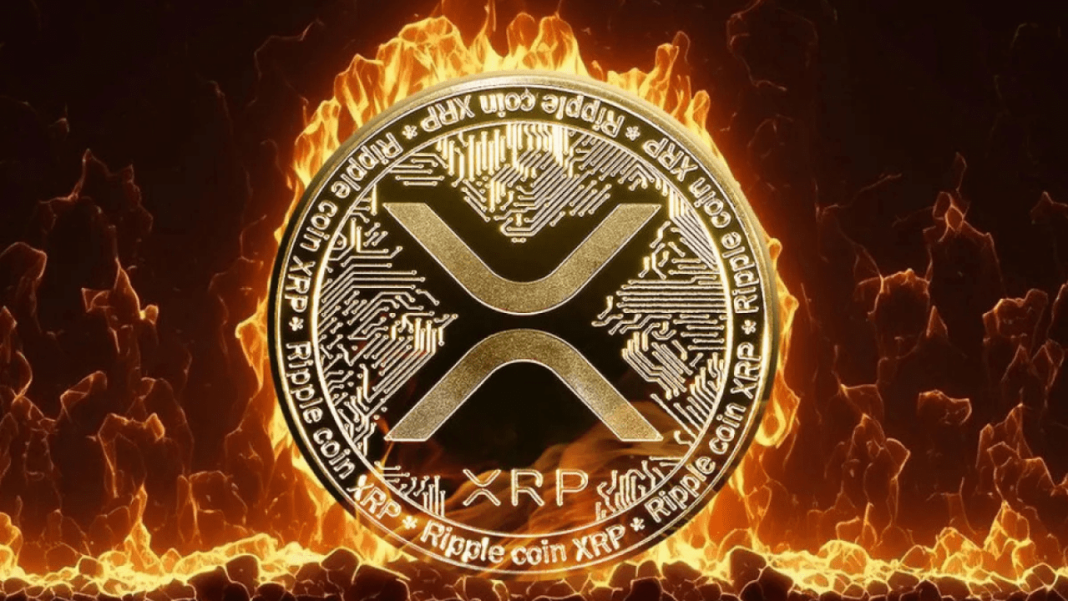 Ripple Telegram Group - XRPRightNow.com