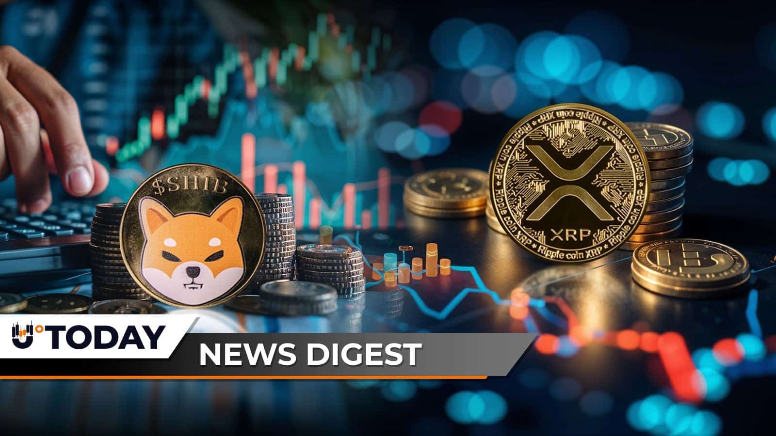 XRP ETF Hopes Spark Crypto Liquidation News 1 63757%20%281%29.jpg