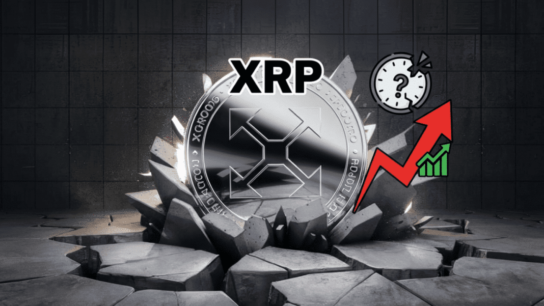 XRP Leverage Trading - XRPRightNow.com