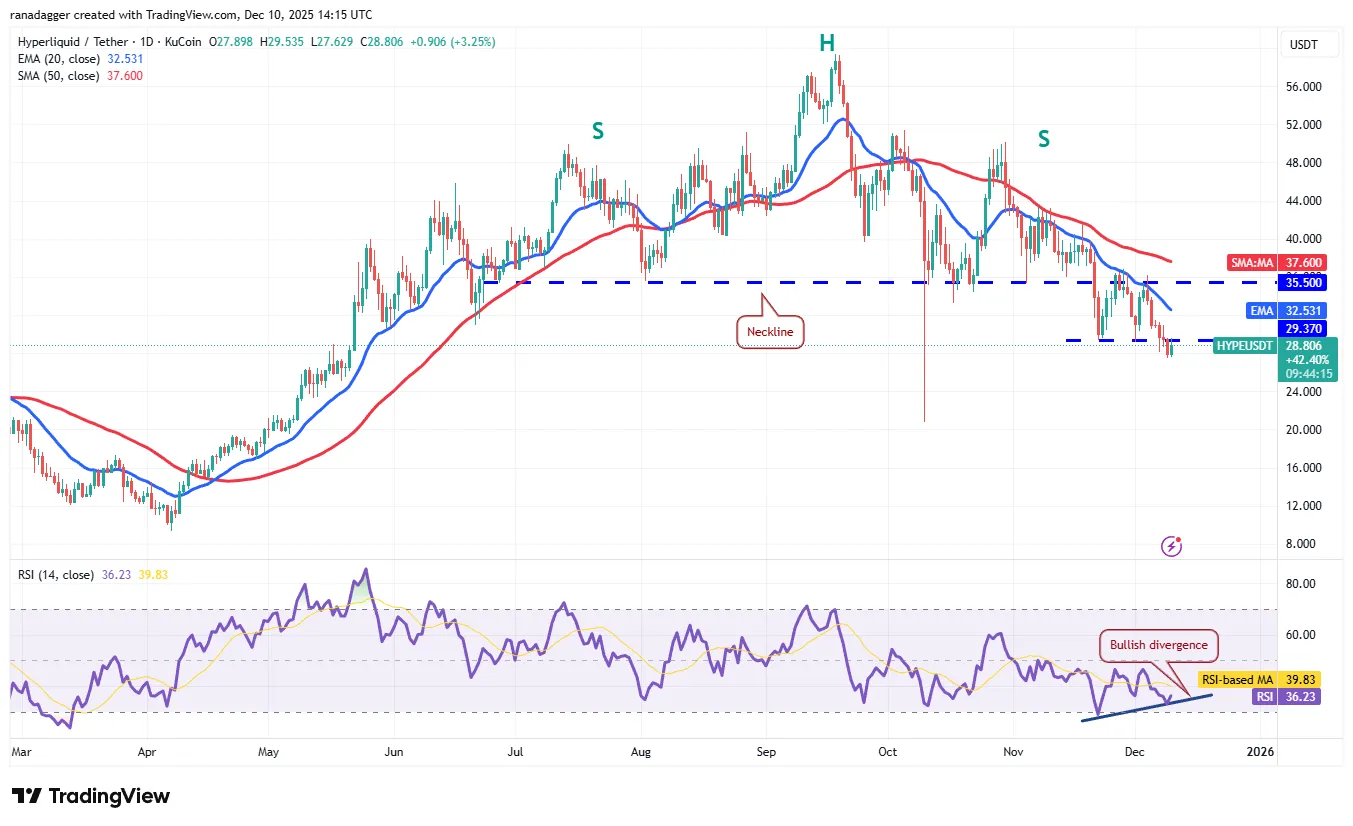XRP Price Forecast Targets Potential Rally 11 019b0905-880b-7762-b0d8-bbf5d7759859