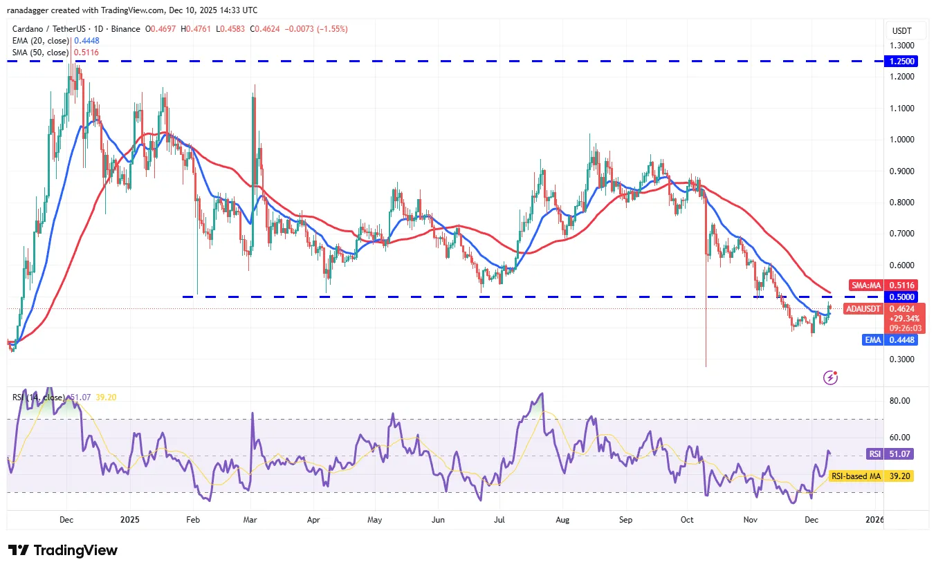 XRP Price Forecast Targets Potential Rally 8 019b0905-7e87-72a0-a797-4a1864804cea