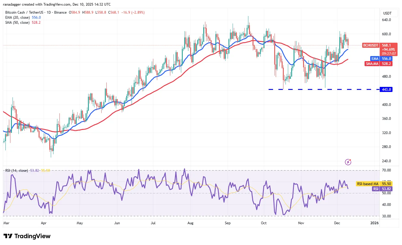 XRP Price Forecast Targets Potential Rally 9 019b0905-81b2-79e7-baad-18aa19d1bc2e