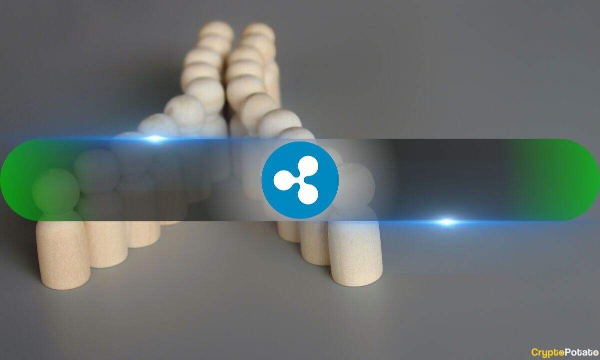 XRP to Ethereum: New Launch Targets Expansion 1 Ripple_Divide.jpg