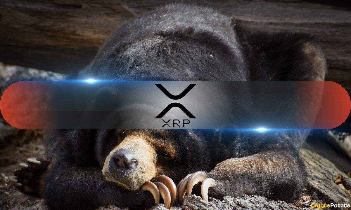 XRP Liquidation Signals Negative Crypto Funding 1 RIppleXRP_Bear.jpg