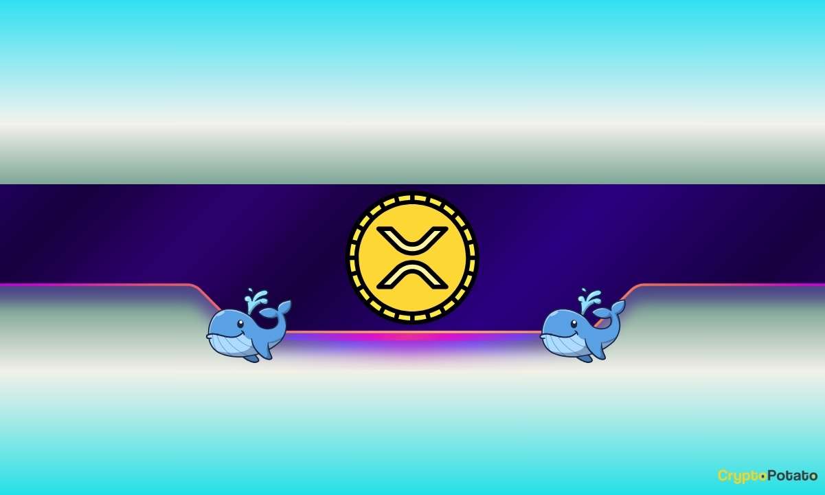 XRP Whales Buy: Pump Signals? 1 XRP_CB-14.jpg