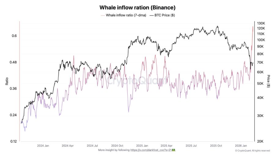 Bitcoin Whale Activity Signals Binance Increase 1 Bitcoin analysis