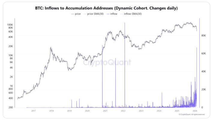 Bitcoin Whales Signal Market Liquidity Shift 1 Bitcoin analysis