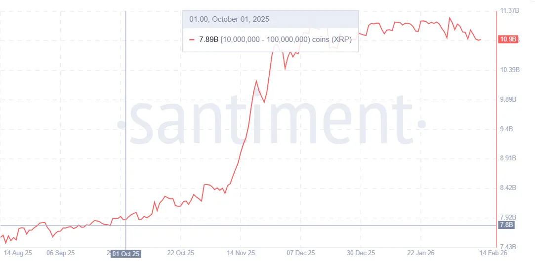 XRP Whales Amass Tokens Despite Price Drop 2 Xrp analysis